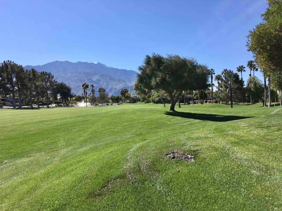 Desert Princess Villa Palm Springs Area Кътидръл Сити Екстериор снимка