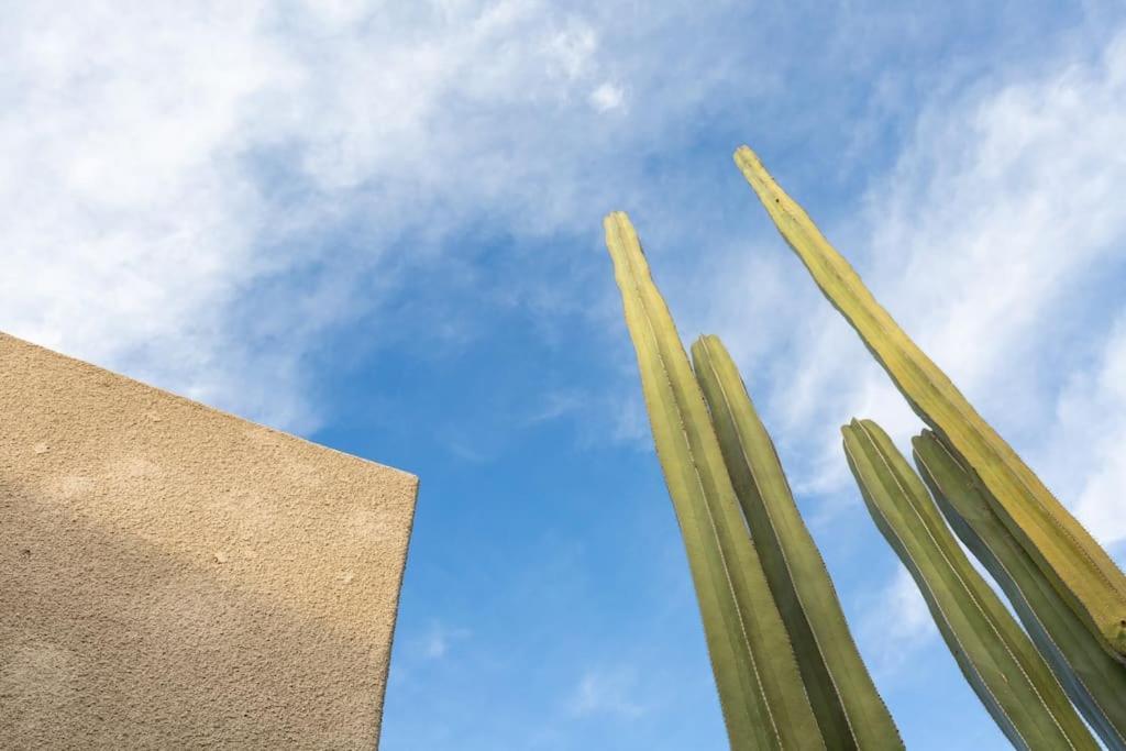 Desert Princess Villa Palm Springs Area Кътидръл Сити Екстериор снимка